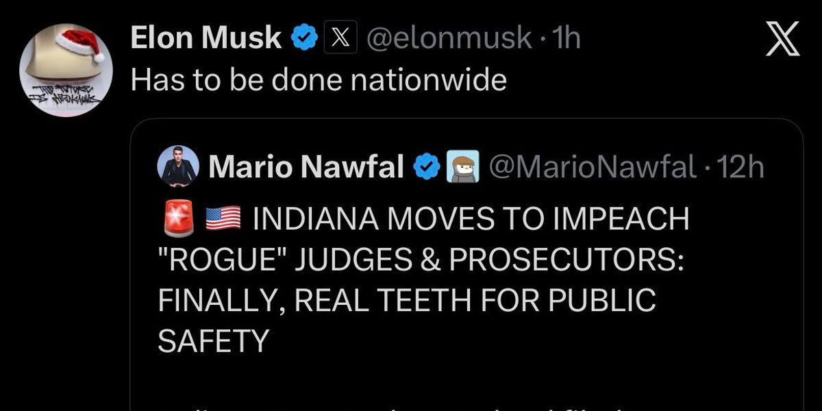 Elon Musk post supporting Andrew Ireland’s accountability amendment